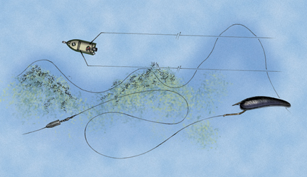 Mastering Tidal Flats: Understanding the Art of Flats Fishing