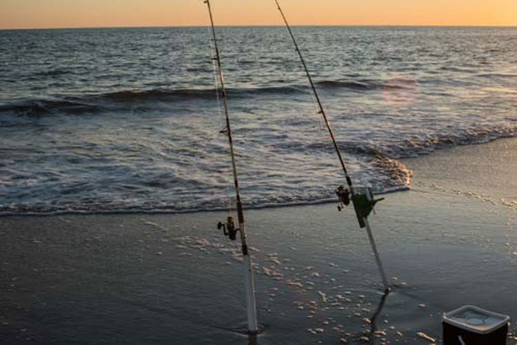 Maximize Your Catch: Essential Gear for Surf Fishing