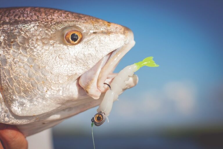 Expert Guide: Artificial Baits for Saltwater Spinning Fishing