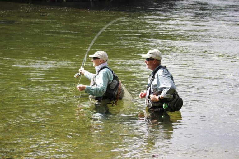 Expert Guide: Uncovering the Difference Between Fly Fishing Rod And Regular Rod