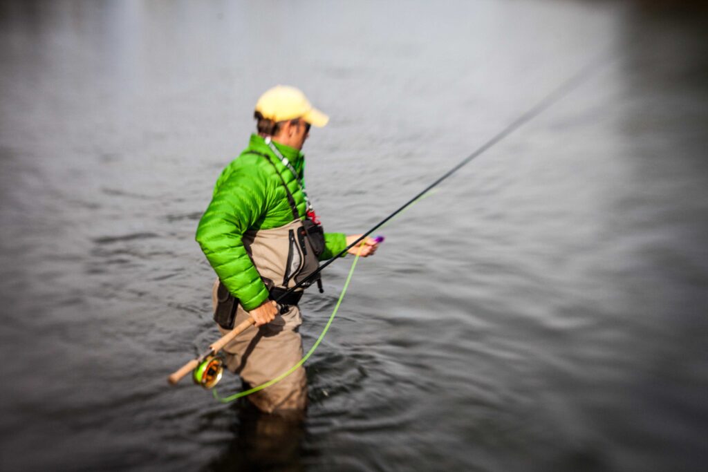 Does Fly Reel Matter? Discover the Expert Opinion BackCast Fly Fishing