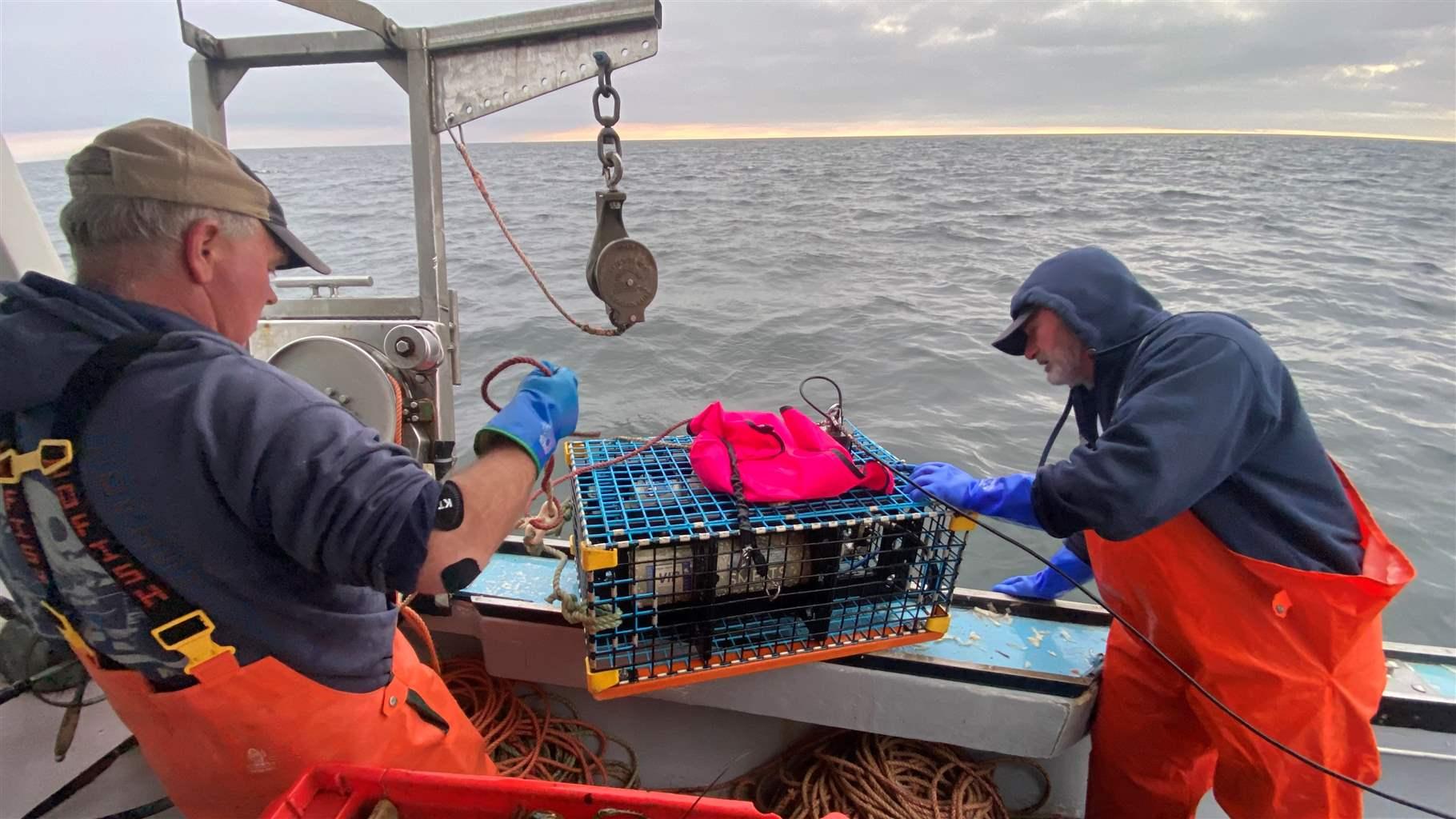 How Much Does A Tuna Fishing Boat Cost How Much Does A Tuna Fishing Boat Cost