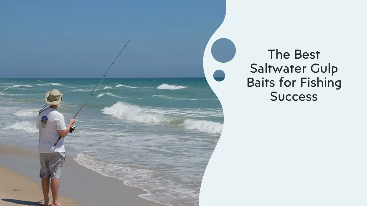 How to Catch Fish from the Surf Proven Techniques for Success