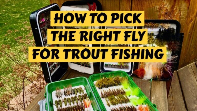 How to Choose the Right Flats Fishing Guide?