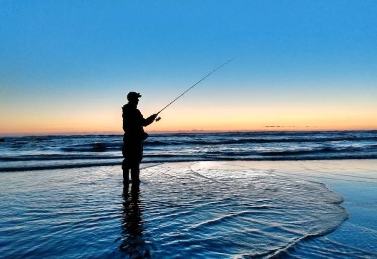 Boost Your Surf Fishing Success: Uncover Highly Productive Areas Fast!