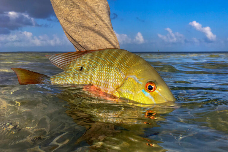 How to Find Fish Schools for Surf Fishing: Proven Techniques Revealed