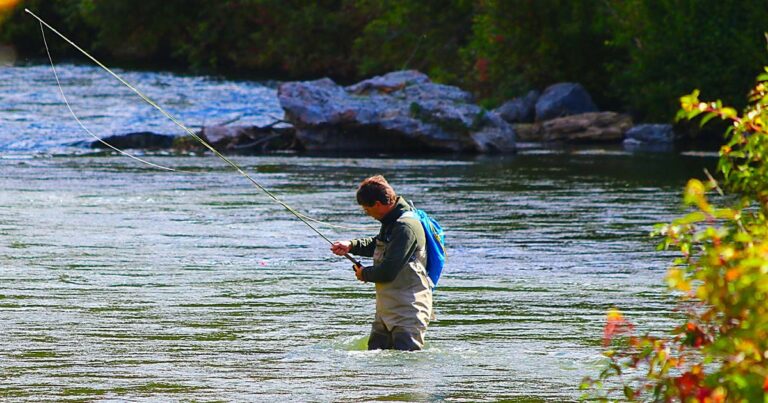 Unlocking the Secrets: How to Read a River for Fishing Success