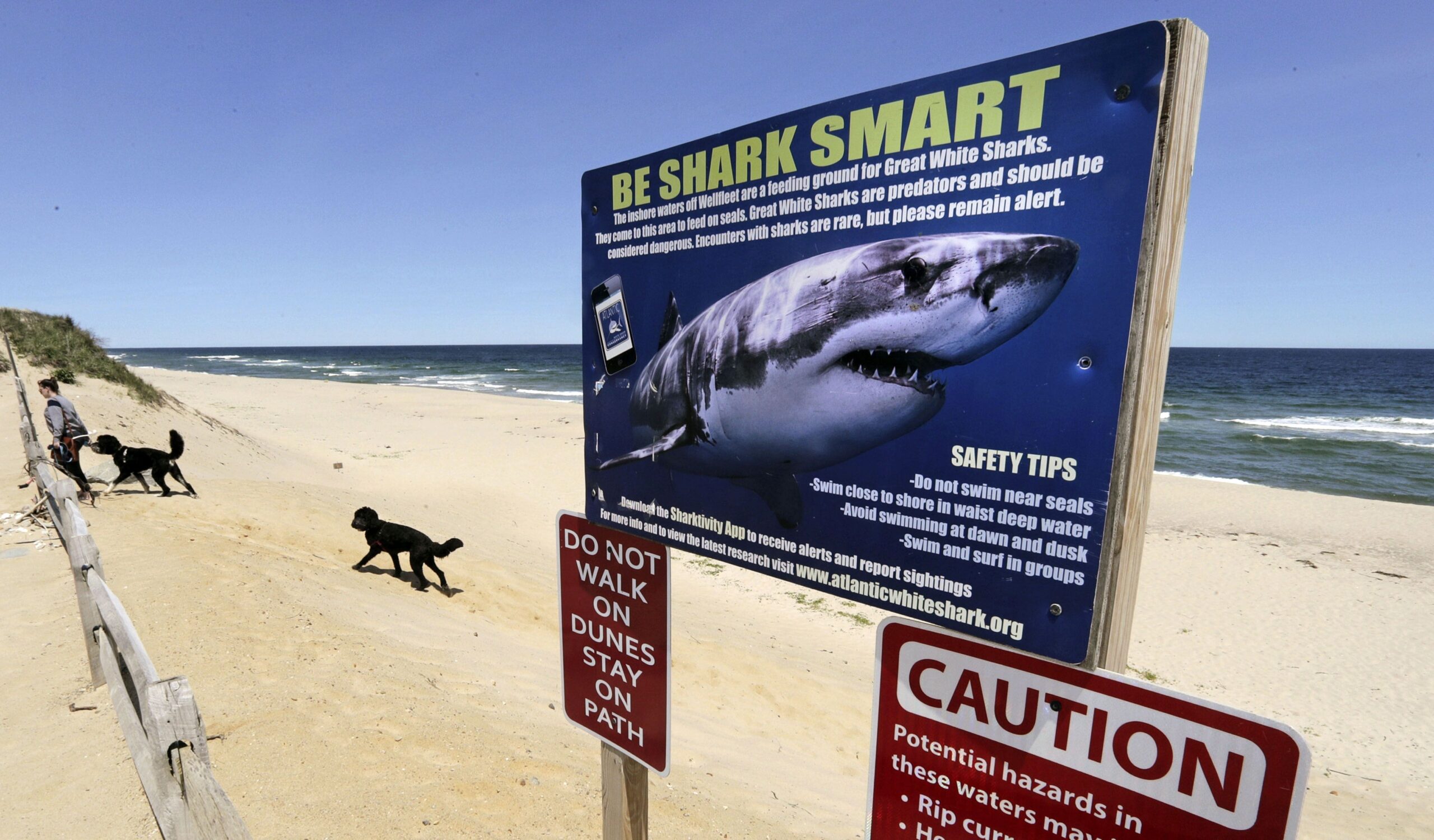 How to Master Deep Sea Fishing Weather Conditions: Expert Tips Revealed