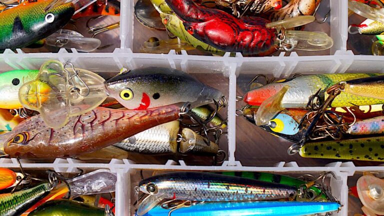 How to Rig Live Baits for Spinning Fishing: Pro Tips Revealed