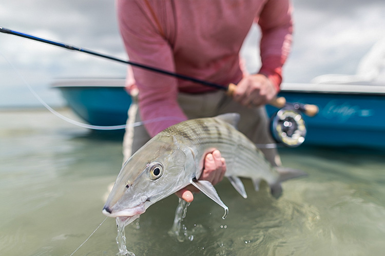 What are the Best Lures for Targeting Bonefish on the Flats?