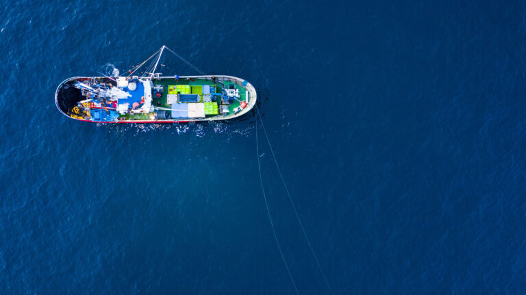 The Top Countries Dominating Deep-Sea Fishing Activities