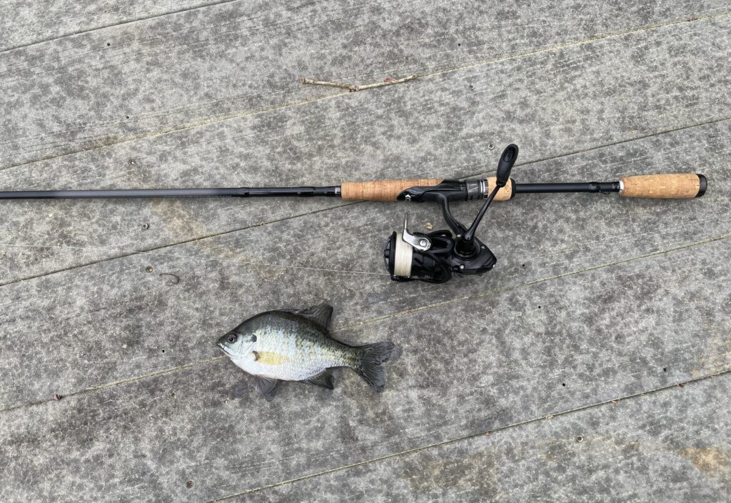 What is the Line Capacity for a Spinning Reel? The Expert's