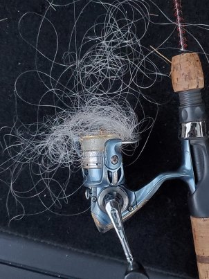 Why Does My Fishing Line Keep Unraveling: Uncover the Solution