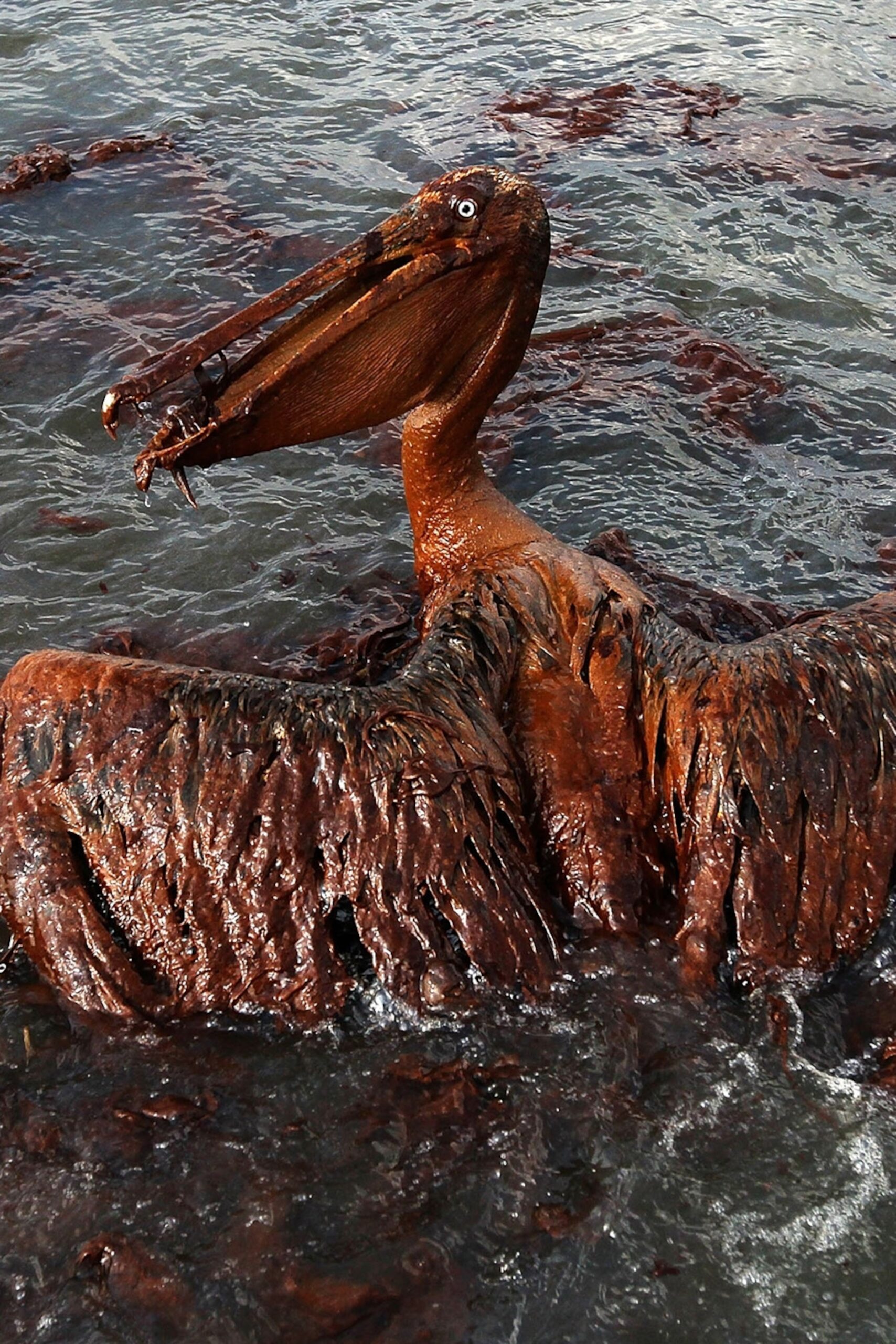 Will Deep Sea Fishing Leave You Feeling Nauseous? Uncover the Truth Now!