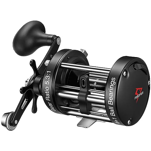 Best Baitcasting Reel for Largemouth Bass: Top Picks for Anglers