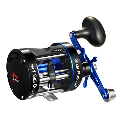 Best Baitcasting Reel for Surf Fishing: Top Picks for Ultimate Performance