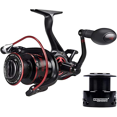 Best Baitrunner Reels for Carp Fishing: Top Picks for Every Angler