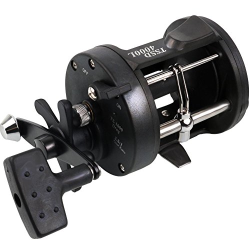 Best Cheap Reel for Surf Fishing: Top Budget-Friendly Picks for Anglers