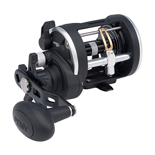 Best Conventional Fishing Reels for Saltwater: Top Picks for Every Angler