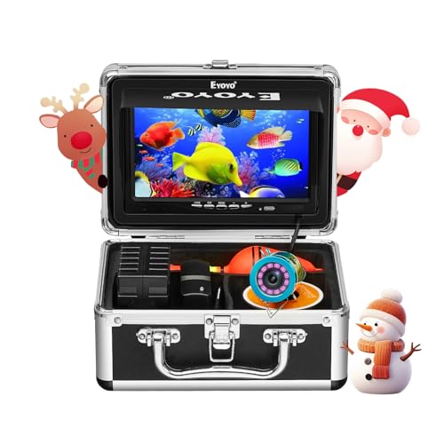 Best Fish Finder under 600 Dollars: Top Picks for Underwater Fishing