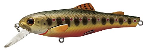 Best Fishing Lures for Brook Trout: Top Picks for Successful Catches