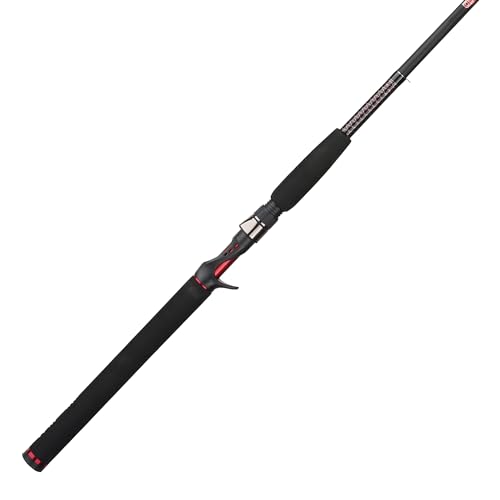 Best Fishing Rod for Baitcasting Reel: Top Picks for Anglers