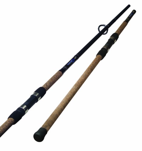 Best Fishing Rods for Surf Fishing: Top Picks for Every Angler