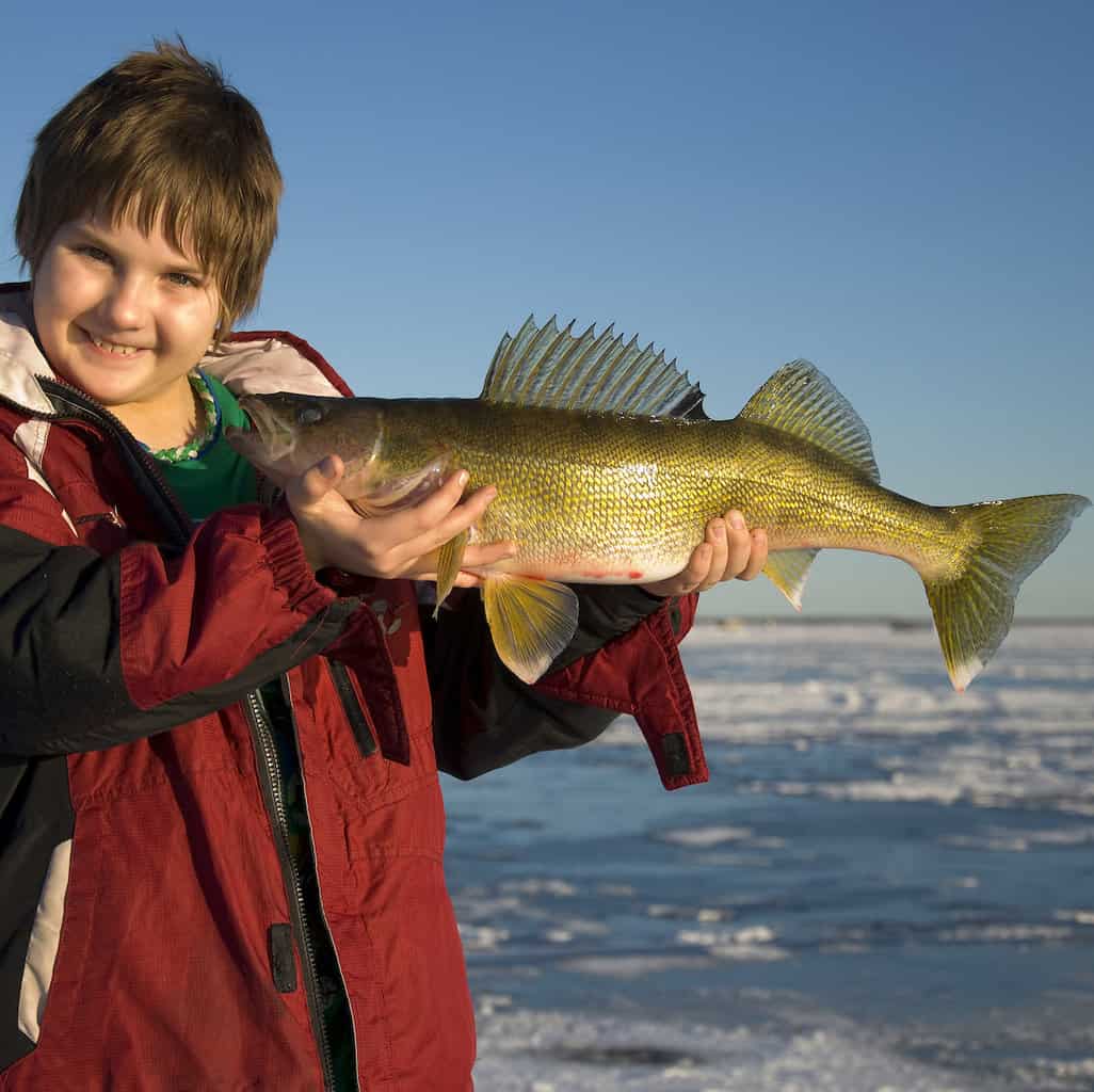 Best Lakes for Ice Fishing in Minnesota: Top Spots Revealed