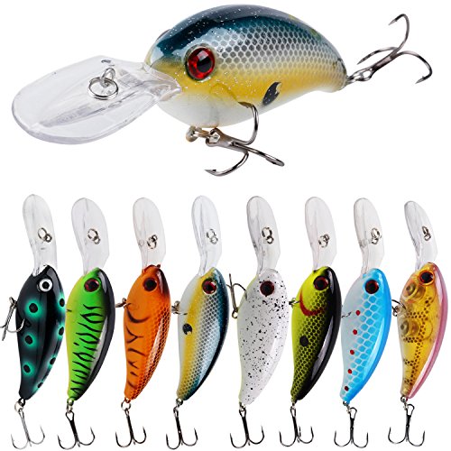 Best Lures for Shallow River Fishing: Top Picks for Bass and Trout