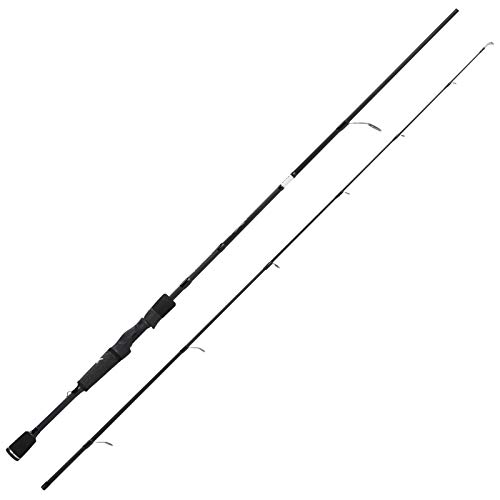 Best Rod Action for Trout Fishing: Top Picks for Perfect Casts