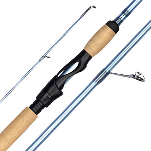 Best Rod And Reel for Cobia Fishing: Top 5 Combos Reviewed