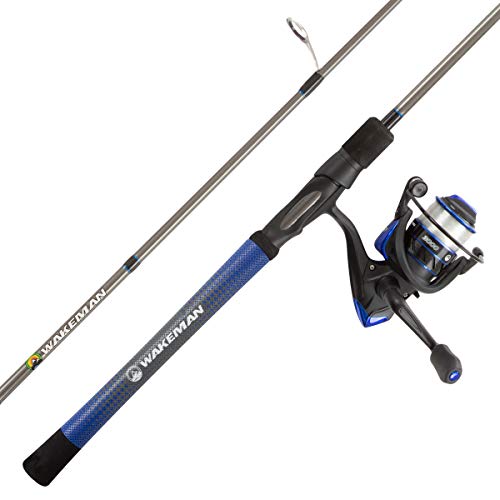 Best Spinning Reel for Lake Fishing: Top-Quality Carbon Pole Combo