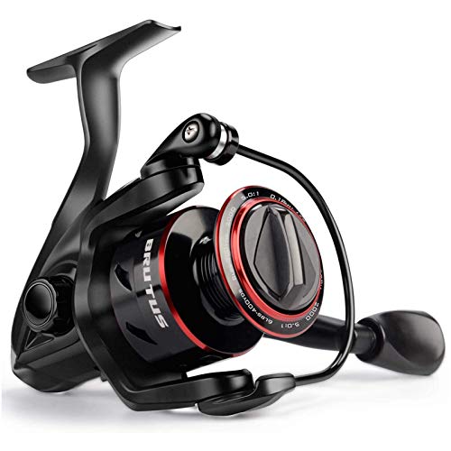 Best Spinning Reel for Pike Fishing: Top Picks for Ultimate Performance