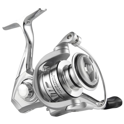 Best Spinning Reel for Tuna Fishing: Top Picks for Anglers