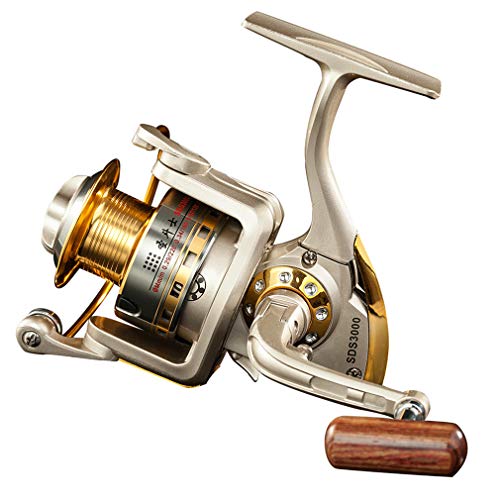 Best Spinning Reels for Saltwater Fishing: Top Picks for Smooth Performance