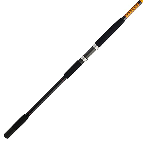 Best Spinning Rod for Surf Fishing: Top Picks for Every Angler