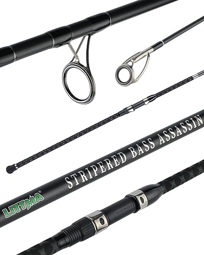 Best Striped Bass Fishing Rod And Reel for Ultimate Catch Success