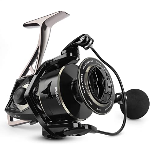 Best Type of Reel for Saltwater Fishing: Top Picks for Every Angler