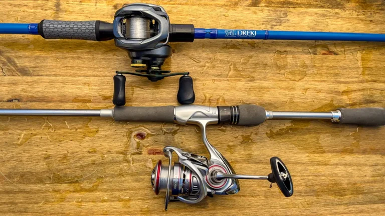 Difference between Baitcasting And Spinning Reels: Expert Insights