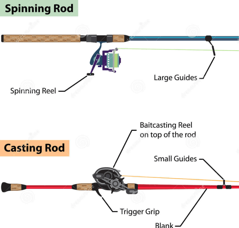 Difference between Baitcasting And Spinning Rods: Expert Guide