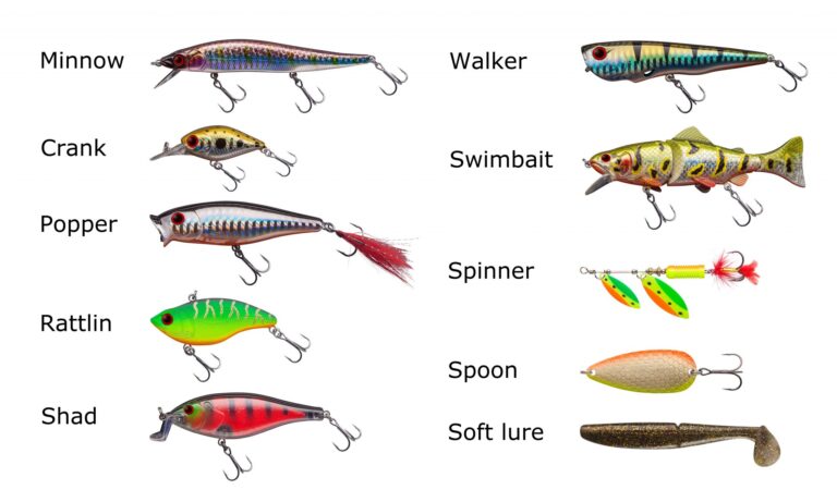 Different Types of Bass Fishing Lures: Expert Angler Guide