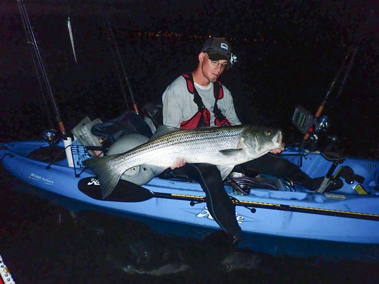 Do Kayaks Spook Fish? Discover the Surprising Truth