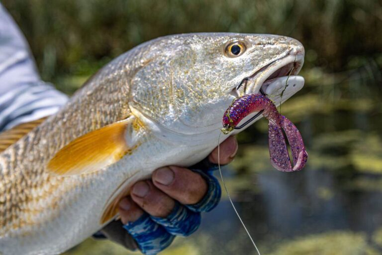 How to Clean Saltwater Fishing Lures: Expert Tips & Tricks