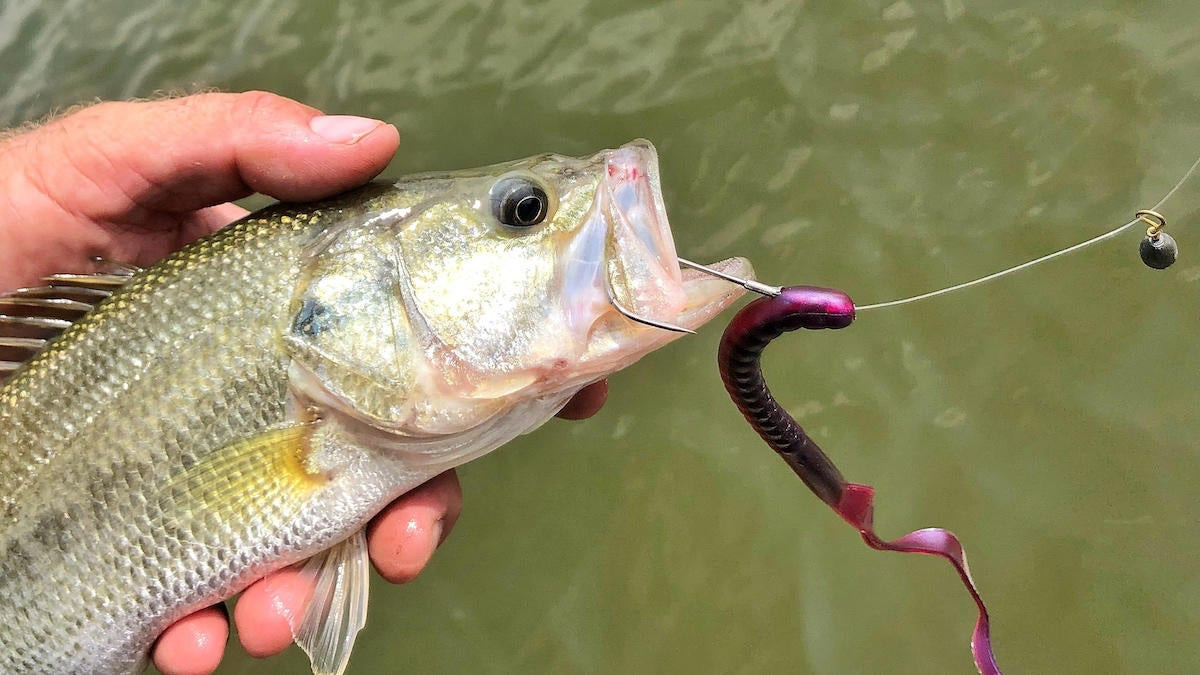 How to Hook a Lure for Bass Fishing: Expert Tips & Techniques