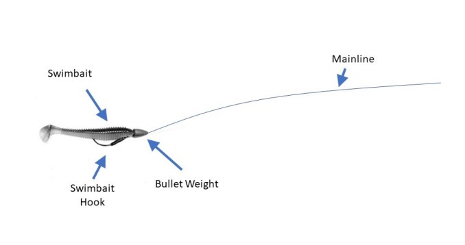 How to Rig a Lure for Surf Fishing: Expert Tips & Techniques