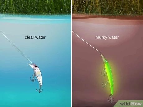 How to Set Up a Fishing Rod for Lure Fishing: Expert Guide