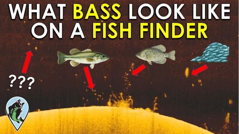 How to Use a Fish Finder for Bass: Expert Tips Revealed