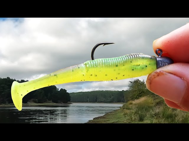 How to Use Rubber Fishing Lures: Expert Tips for Better Catches