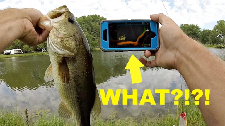 Is There a Fish Finder for Bank Fishing: Ultimate Guide