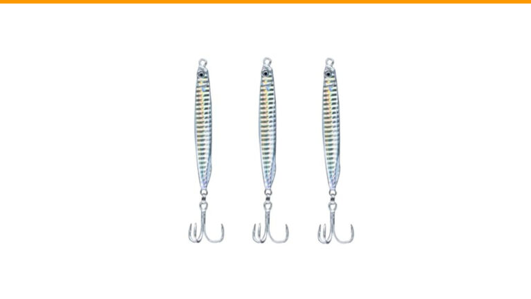 Best Bait for Surf Fishing in New Jersey